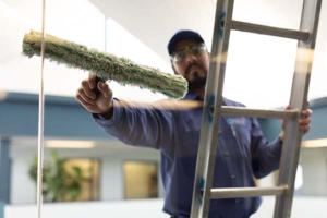 Final Touch Window Cleaning Services | Window Cleaner