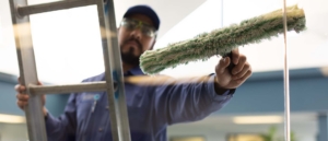 Final Touch Window Cleaning Services | Window Cleaner